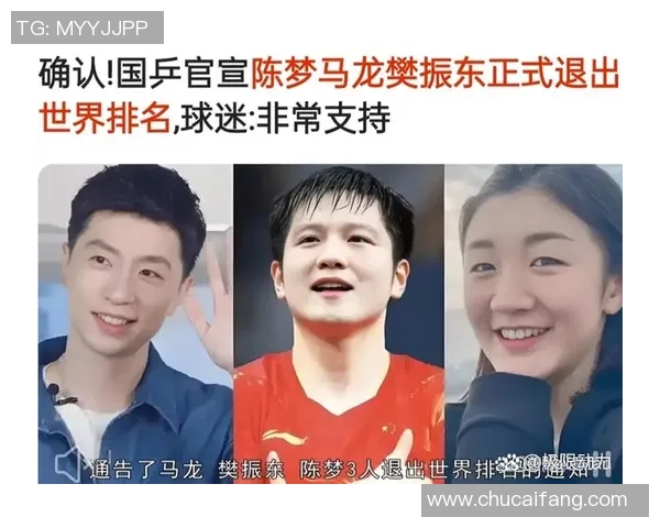 中国乒乓球运动员的辉煌历程与成就探索及其对世界乒坛的深远影响