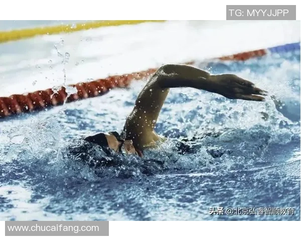 提升自由泳技巧与耐力的综合训练计划解析